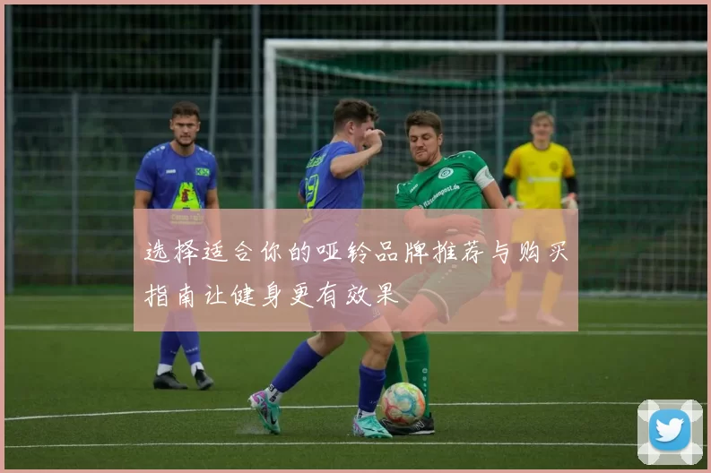 选择适合你的哑铃品牌推荐与购买指南让健身更有效果
